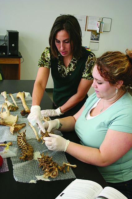 NC State&#8217;s Forensics Analysis Lab is located in Park Shops, and handles open and cold cases for the state, some including high-profile death penalty cases.