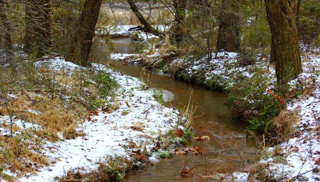 Lake Raleigh looks more beautiful than ever after the first snowfall on 22nd Jan 2016. Small streams were formed all around the lake.