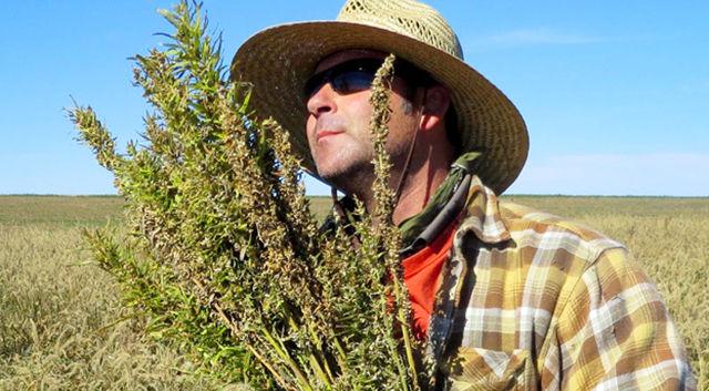 Hemp legal, but needs private funds