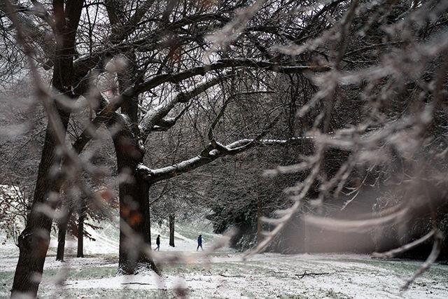 Two people take a walk in Pullen Park that was covered in a thin layer of snow after the brief snowfall on Jan 22.