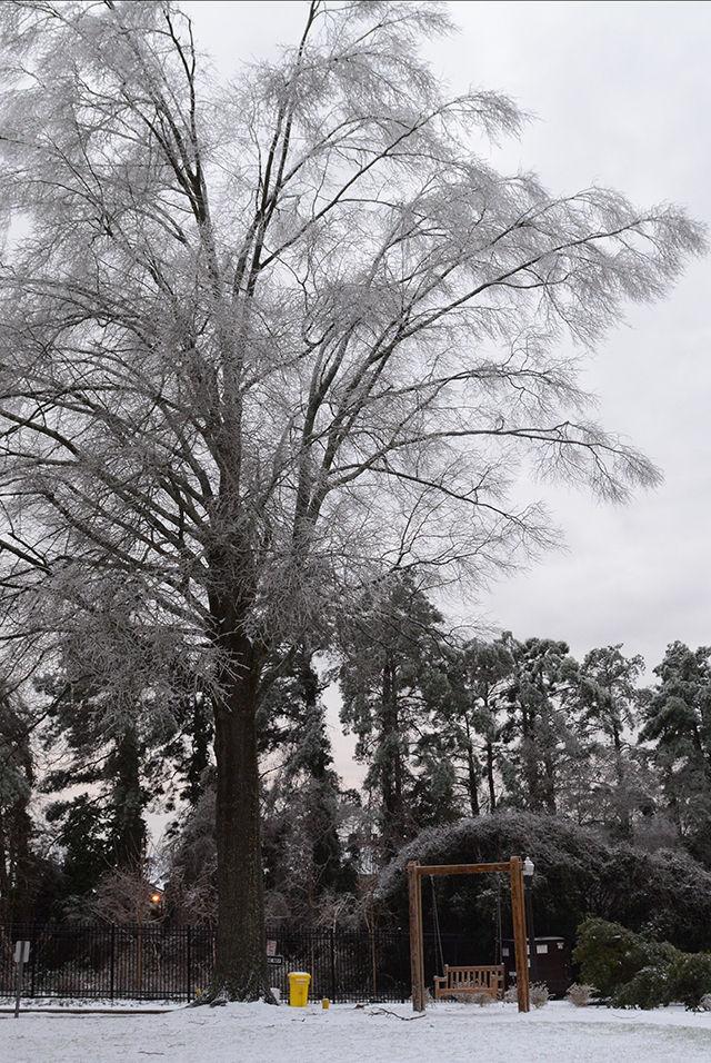 The Triad area on East Campus is deserted due to the cold and layer of ice that posed a safety hazard.