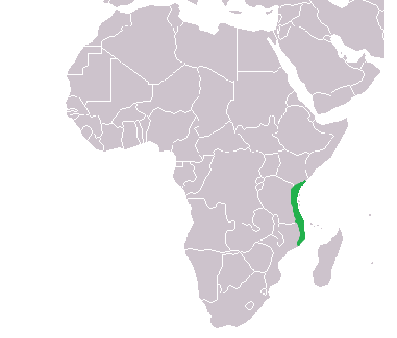 Zooarchaeologist Er&#233;ndira Quintana Morales spoke on Friday about her research on the Swahili Coast of Eastern Africa, which is highlighted in green on this map.