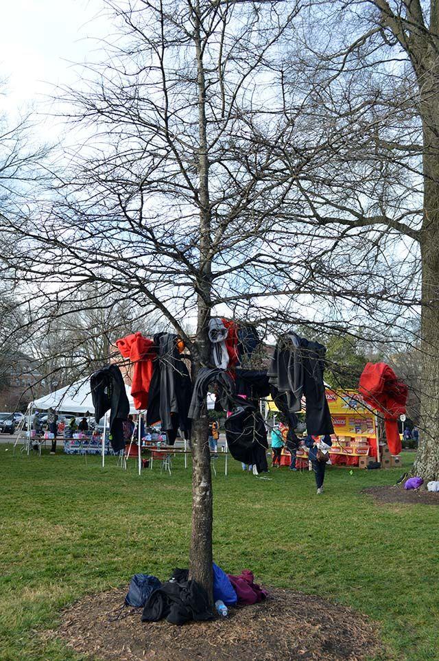Many runners left their jackets in a tree as they ran the Krispy Kreme Challenge. The challenge had over 7000 registered runners and raised over $195,000 for the North Carolina Children's Hospital on February 6th, 2016.