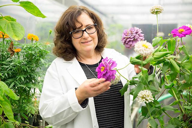 Carole Saravitz stands next to one of the 57 growth chambers that is used to provide optimal environmental conditions, including humidity and temperature. Saravitz has worked at the Phytotron for 21 years and is the director at the Phytotron. Saravitz graduated at NC State with a doctorate in Horticultural Science. She was also a Post Doctoral Research Associate in Soil Science at NC State, and now is a faculty member in the Department of Plant and Microbial Biology.