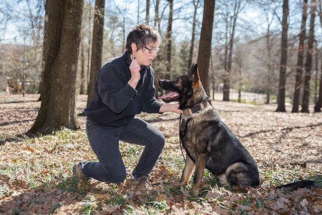 Dr. Cat Warren, an English professor at NC State and author of "What The Dog Knows", sits beside her dog, Jaco, after doing some training in Pullen Park. Jaco, a 2-year-old male German shepherd, is in training as a cadaver dog, a dog who helps find the missing and dead. Dr. Warren's book has been on the New York Times nonfiction paperback bestseller list, the animal book bestseller list, and the New York Times science bestseller list.