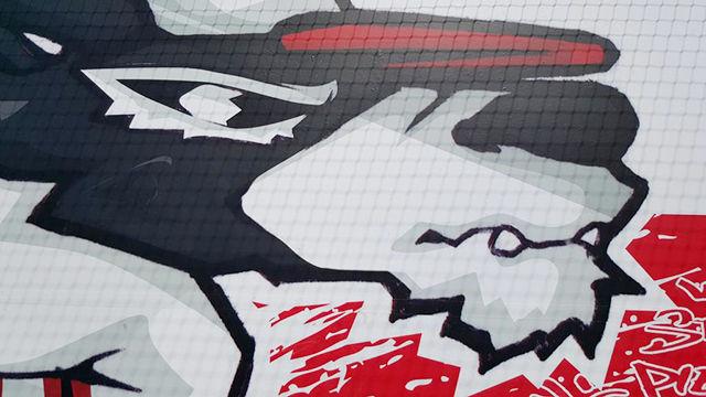 Wolfpack unveils Free Expression-themed dugouts