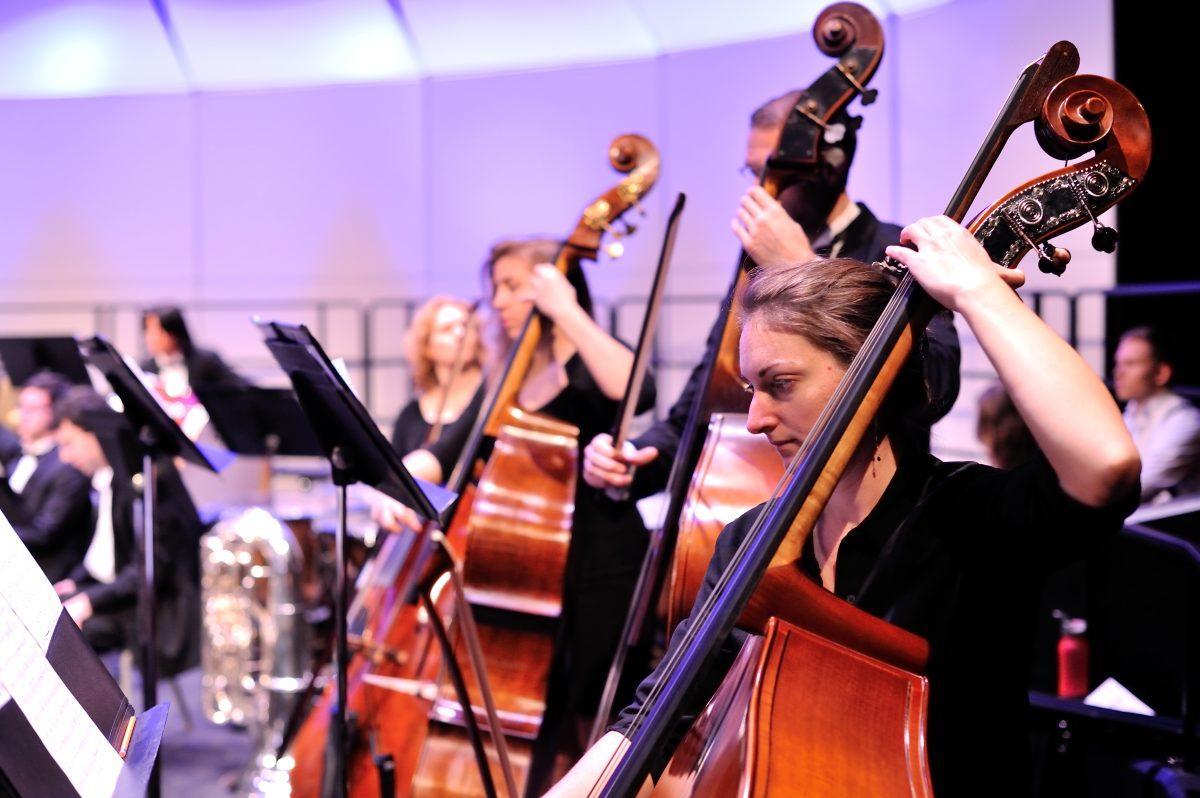 Great Animal Orchestra Symphony