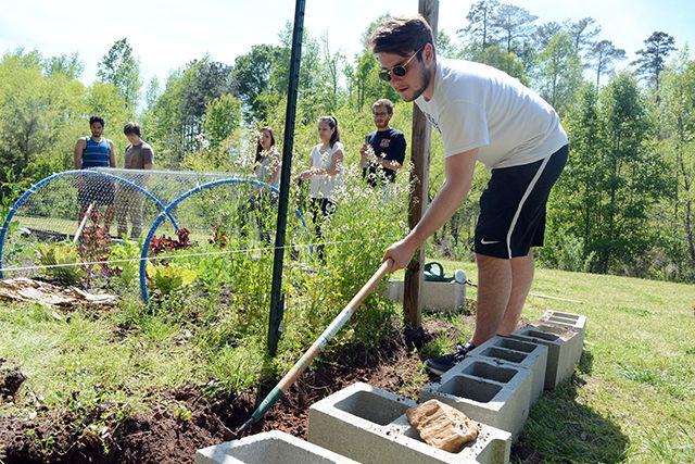 Quentin Moreaux, a student attending the SKEMA Business School, digs one of the sides of one of the garden beds to construct a barrier at the Soul Garden located beside the Lake Raleigh dam Saturday. According to Catie McEntee, a graduate student studying electrical power systems engineering and co-manager of the Soul Garden, the garden is a community organic garden used to teach people how to grow organic food which was created in 2010, recently received an $800 grant from the sustainability fund. The grant will be used to build two fences, two cinder block beds and educational signage.