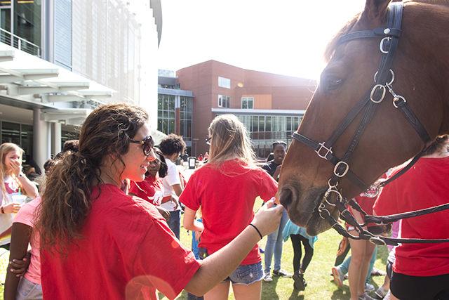 Sofia Abdo, an undeclared freshman, rubs Maverick, a police horse, in Stafford Commons after meeting up with children from the YMCA of The Triangle - Alexander Family YMC as part of the Campus Pals program on April 20, 2016. Campus Pals is a program that connects NC State students with children of Wiley Elementary School and they meet every Wednesday after school. This is Abdo's first year participating in the program and will be serving as the Student Assistant Director of Logistics in the semester of Fall 2016.