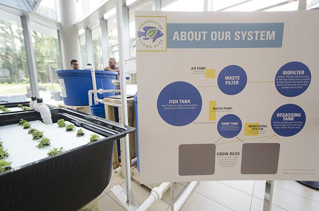 A sign displays the science behind an aquaponics exhibit in Talley Student Union on June 29. The Recirculating Farms Club sponsored and put on the aquaponics exhibit and has applied to take its exhibit to the North Carolina State Fair.