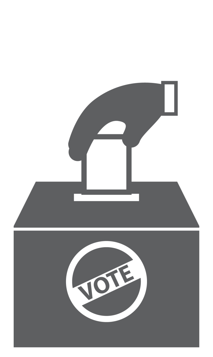 Voting Graphic