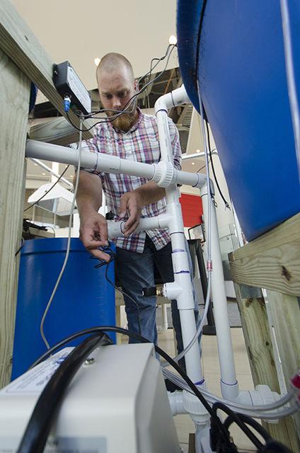 Chris Dunham, nutrition and sustainability specialist for NC State Dining, adjust some wiring as a part of the aquaponics exhibit in Talley Student Union on June 29. This aquaponics exhibit was sponsored and put on by the Recirculating Farms Club. The Recirculating Farms Club has applied to take its exhibit to the North Carolina State Fair.