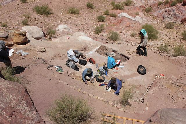 NC State students and professors work to uncover ancient artifacts in an excavation site in Petra, Jordan. A statue of Greek mythological figure Aphrodite was uncovered in the dig.