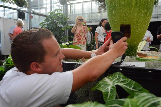 Brandon Huber, a graduate student studying horticultural science, snaps a thermal image with his phone of the inside of his plant named "Lupin" at the Fox Science Labs greenhouse Friday. Huber was measuring the internal heat of the flower which is a mechanism for attracting insects. His flower bloomed for the first time in 13 years the previous day and the public was invited to a blooming event hosted by Huber and his family. The flower bloomed on Huber's grandfather's birthday. "How spectacular it is to see it open after 13 years," Huber said.