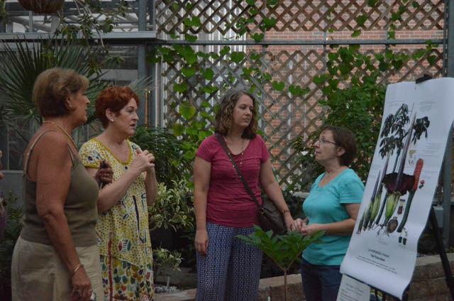 Diane Mays, a technician in the Department of Horticulture and curator for the conservatory, explains the corpse flower to spectators who came to see it bloom. The flower began to bloom on Thursday and is said to smell like the odor of rotting flesh.