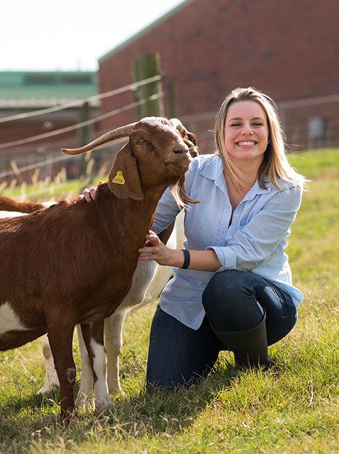 Tillman Scholar and veterinary school student Amie Pflaum gets cozy with a goat in preparation for her career as a veterinarian. Pflaum decided to become a veterinarian after her time spent in the military.&#160;
