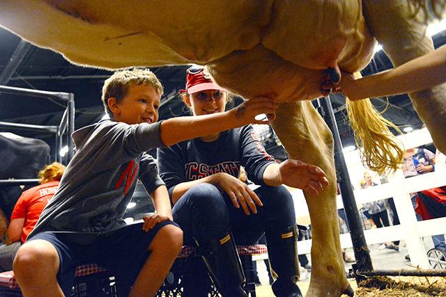 Annie Wetzel, a junior studying animal science, shows 8-year-old Charlie Tucker the proper way to milk a cow at the NC State Fair on Saturday. Wetzel is member of the Animal Science Club, which hosts a cow milking event at the fair each year. The event will run through the entirety of the fair until Sunday.