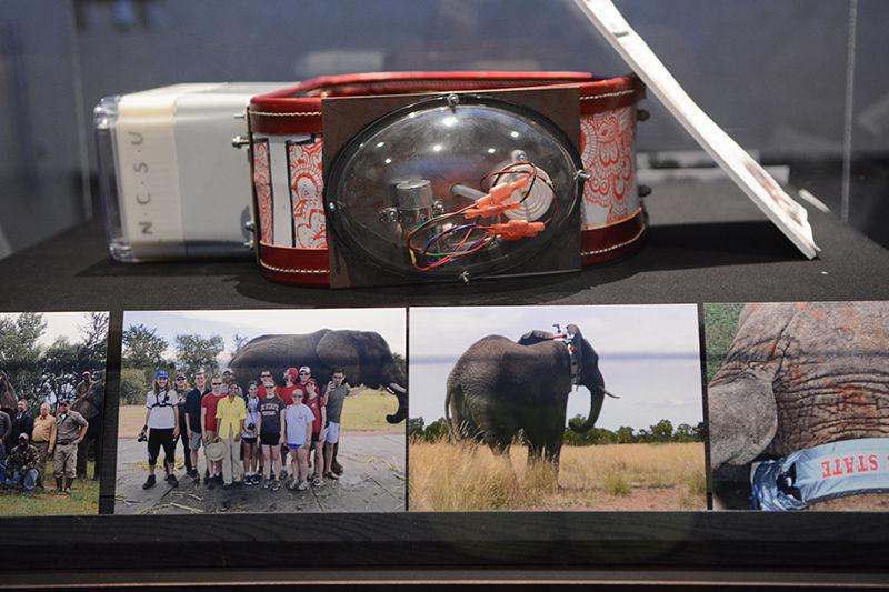 The second generation elephant conservation collar developed by NC State students sits on display inside of the McKimmon Center on Oct. 31. The collar was designed as part of a collaboration between the senior design teams of the College of Textiles and electrical and computer engineering programs, and has been implemented in Bela Bela, South Africa to help prevent elephants from wandering into villages by mimicking the vibrations of ants and bees.
