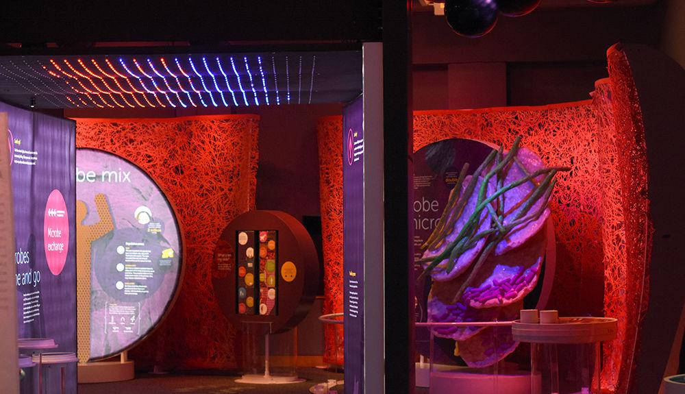 Using visual and hands-on learning, "The Secret World Inside You," at the North Carolina Museum of Natural Sciences teaches visitors about the organisms that they unknowingly interact with each day. The exhibit, which is free for NC State students, will be open until March 12.