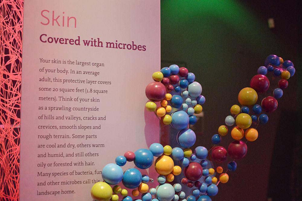 A statue of a man composed of microbes accompanies a plaque detailing how skin and microbes interact at the North Carolina Museum of Natural Sciences in Raleigh on Nov. 11. One of the main collaborators of this exhibit was Rob Dunn, a professor of applied biology in the College of Sciences. The exhibit is free to NC State students and is on display through March 12.