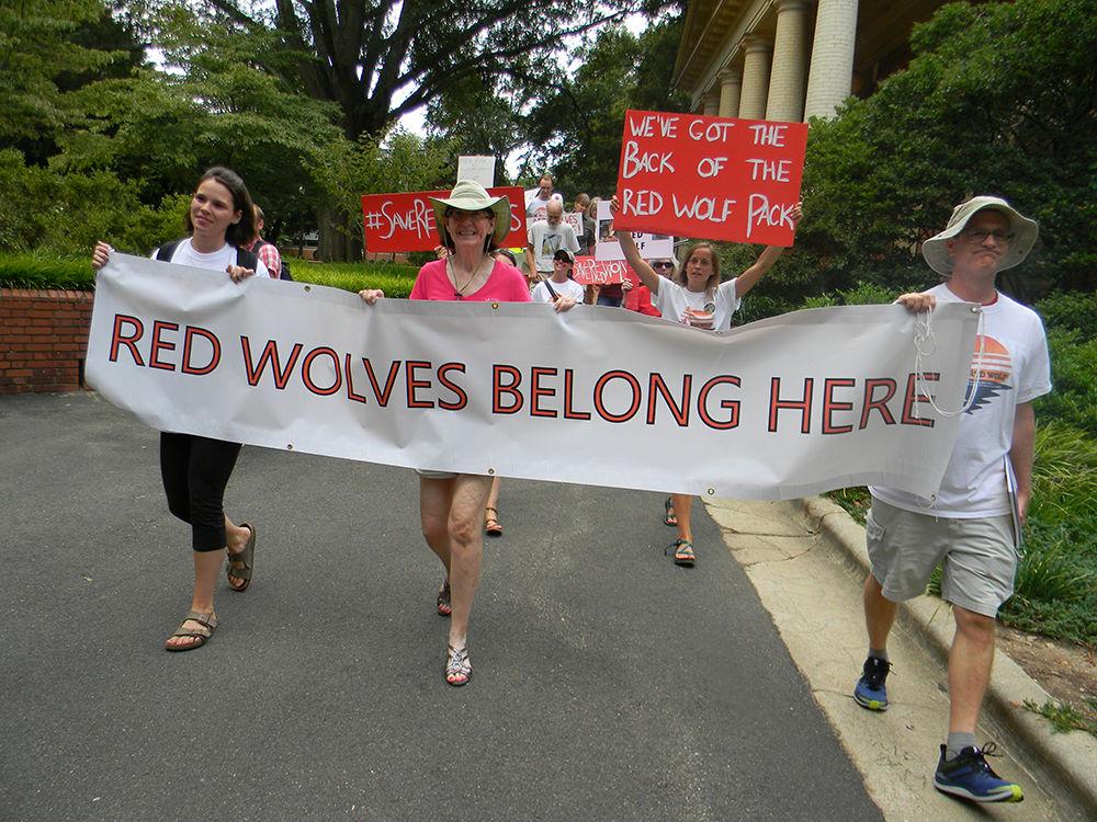 Jackie Blake, a senior studying animal science, Ruth Stalvey, a resident of Raleigh, Kristen Grimshaw, an intern with the Pamlico Albemarle Wildlife Conservationists Chapter of the North Carolina Wildlife Federation, and Steve Buczynski, a resident of Durham, hold signs of protest while marching around campus Wednesday. A group of protesters came out to Pullen Park to support the Red Wolf Recovery and also marched around campus to promote their cause. According to Ron Sutherland, a conservation scientist with the Wildlands Network, the purpose of the rally was to demonstrate that the public of North Carolina support the endangered red wolf's presence in the state. The U.S. Fish &amp; Wildlife Service is considering ending the Wildlife Recovery Program and will be making a decision next month about the fate of the red wolf. Also according to Sutherland, there are only 40 red wolves left in the wild.