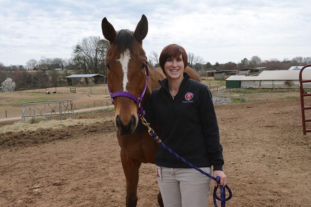 Lauren Schnabel stands with Charlie, one of her thoroughbred horses that lives on the NC State Veterinary School Campus. Schnabel is an assistant professor of equine orthopedic surgery who also conducts research in regenerative medicine, focusing on immunologic properties of stem cells, including both mesenchymal and induced pluripotent stem cells. Mesenchymal cells can become bone, cartilage, muscle and fat cells and induced pluripotent stem cells can become any body cell. The goal of Schnabel's work is to develop therapies that would allow veterinarians to treat patients with stem cells directly following diagnosis and her research has been published in multiple scientific journals.