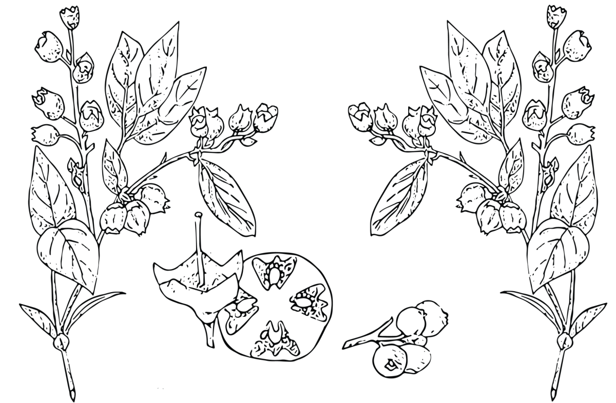 89b9895103dee2987c45df28d6b45605.png