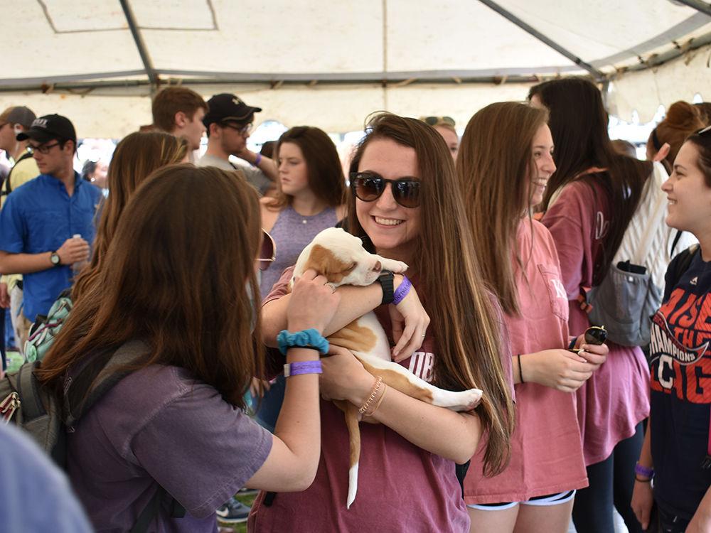 Caroline Treadaway, a freshman studying animal science, holds a Labrador puppy during Puppy Palooza in front of Witherspoon Student Center March 21. "I came to the event because I love puppies and wanted to help them find homes," Treadaway said. Puppy Palooza is a philanthropy event hosted by Phi Gamma Delta and Chi Omega, collaborating for the benefit of Pawfect Match Rescue.