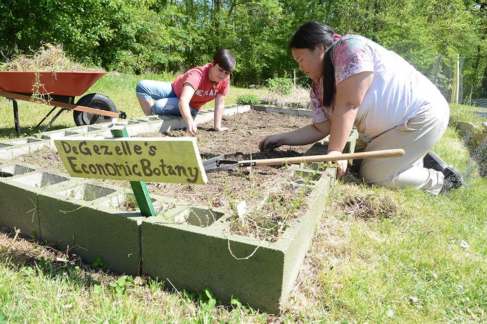 Catie McEntee, a graduate student studying electrical power systems engineering and co-manager of the Soul Garden, and Megan Yang, a sophomore studying paper science and engineering and leadership council member of the Cultural Exchange Network, take out weeds in one of the garden beds at the Soul Garden located beside the Lake Raleigh dam April 16, 2016. According to McEntee, the Soul Garden, a community organic garden used to teach people how to grow organic food created in 2010, received an $800 grant last year from the sustainability fund. The grant was used to build two fences, two cinderblock beds and educational signage.
