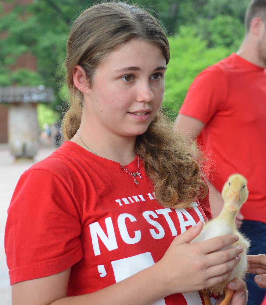 Mary Brown, a freshman studying animal science, shows her pet ducks to other students at Wolf Plaza on April 28. Brown was not an official part of the LDOC or last day of classes festivities but had brought her pet ducks to class for show-and-tell and decided to show them to other people as well.
