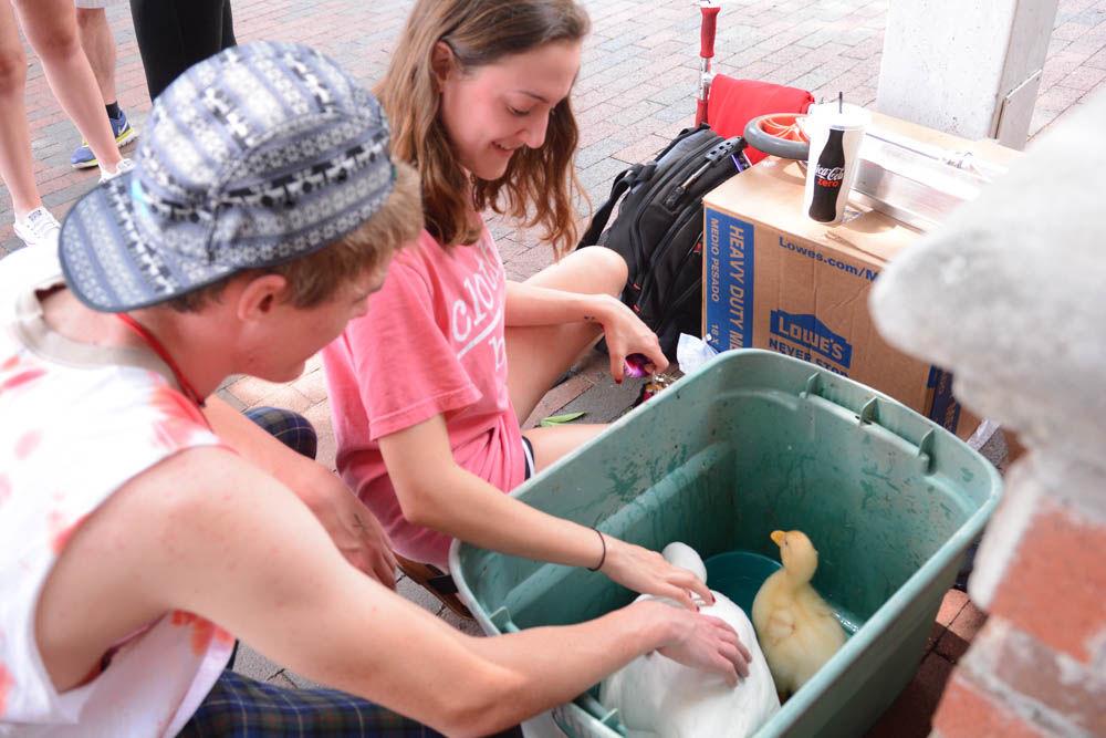 Jillian Tufo, a sophomore studying business administration, and Jacob Whitaker, a sophomore studying computer science, pet ducks owned by Mary Brown, a freshman studying animal science. The grown and baby ducks, which were two months and two weeks old, respectively, were not part of the official LDOC activities, but students had the chance to pet and interact with them at Wolf Plaza on April 28.