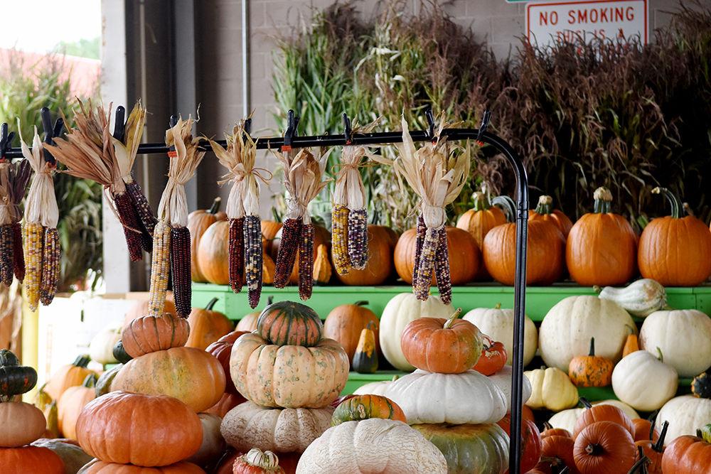 Rows of multicolored corn and pumpkins on display at the Raleigh Farmers Market on Sep. 18. The Farmers Building provides 30,000 square feet for North Carolina farmers to sell fresh produce and plants.