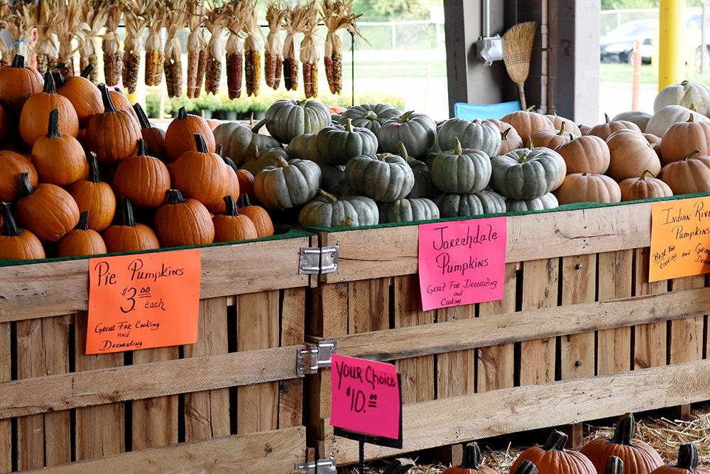 Different pumpkin types were on sale in the Farmers Building Monday. The Farmers Building provides 30,000 square feet for North Carolina farmers to sell fresh produce and plants. The Farmers Building is one of several structures that make up the State Farmers Market.