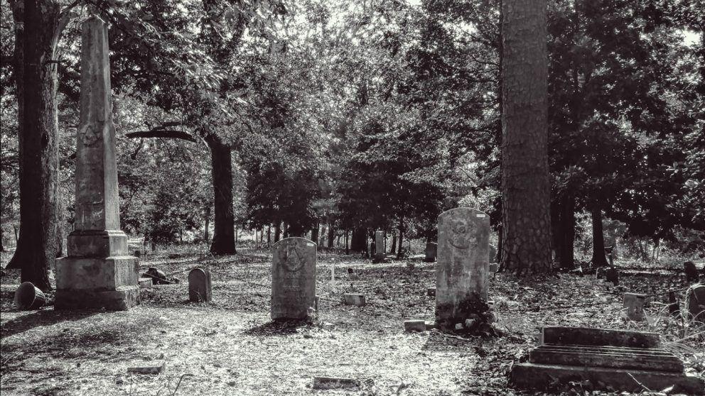Raleigh community cleans Oberlin Cemetery before historic marker unveiling