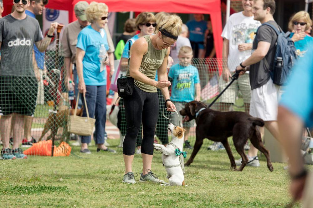 Christina Colvin and her pup Autzen add a little extra flair to the game of Musical Sit at NCSU&#8217;s 26th Annual Dog Olympics. Dogs competed for first, second, and third place medals complete with a podium finish.