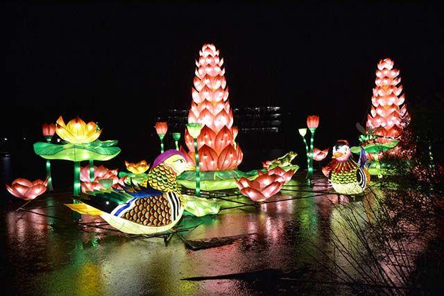 Birds, flowers, water lilies, and dragon flies sit over the pond at Boothe Amphitheatre in Cary during the North Carolina Chinese Lantern Festival.