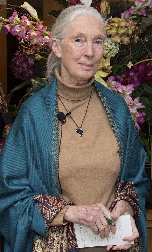 Photo of Jane Goodall, founder of Roots and Shoots, courtesy of U.S. Dept. of State.