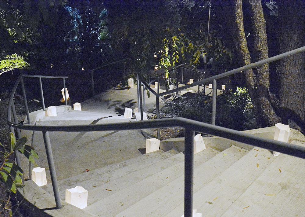 The stairs to Asian Valley in J.C. Raulston Arboretum are lined with tea light candles for Moonlight in the Garden on Friday. Asian Valley features a plethora of plants native to Asia, but also capable of surviving on the east coast.