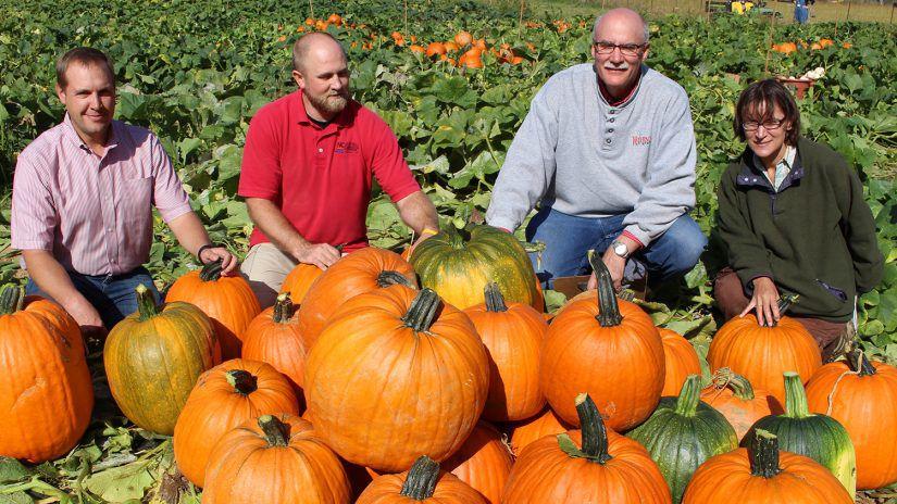 For a pumpkin variety trial harvest at the Mountain Research Station in Waynesville, Station Superintendent Kaleb Rathbone joined Extension agent Travis Birdsell and Extension specialists Jonathan Schultheis of NC State University and Annette Wszelaki of the University of Tennessee.