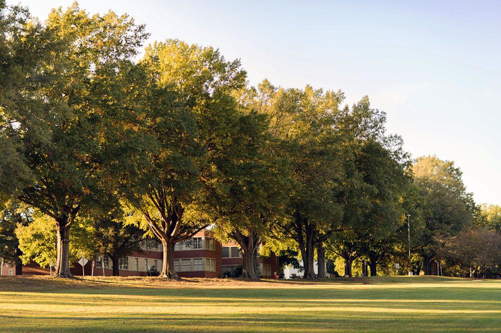 The Dorothea Dix Park is 308 acres in size, some of which is leased by the state for their administrative operations of the NC Department of Health and Human Services.