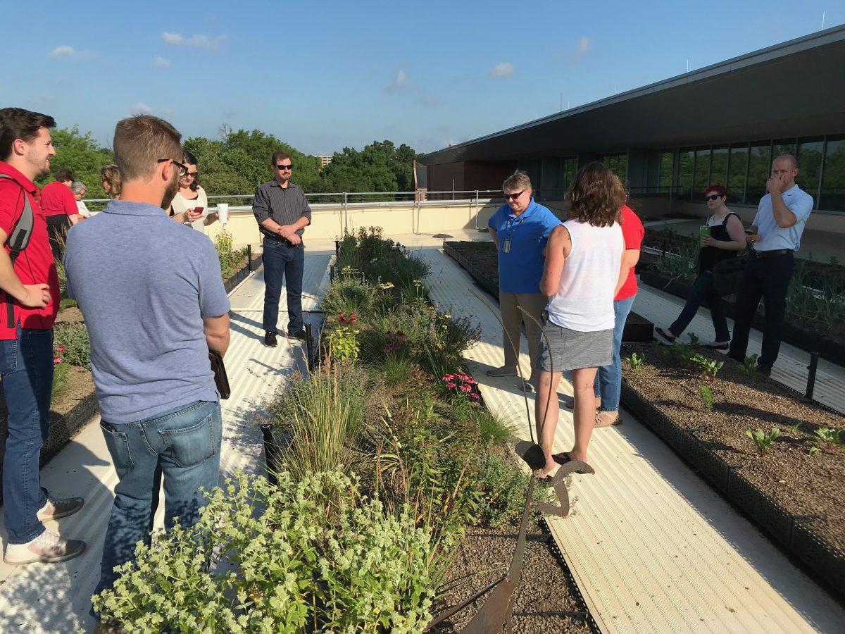 Dr. Anne Spafford, an Associate Teaching Professor in the Department of Horticulture Science, explains to tour attendees the importance of pollinator plants on Talley&#8217;s rooftop garden. Dr. Spafford and her students planted the garden in October and April. The tour of the rooftop garden is the first of many facilitated by Sustainability Partners, a new program started by the University Sustainability Office and Staff Senate.
