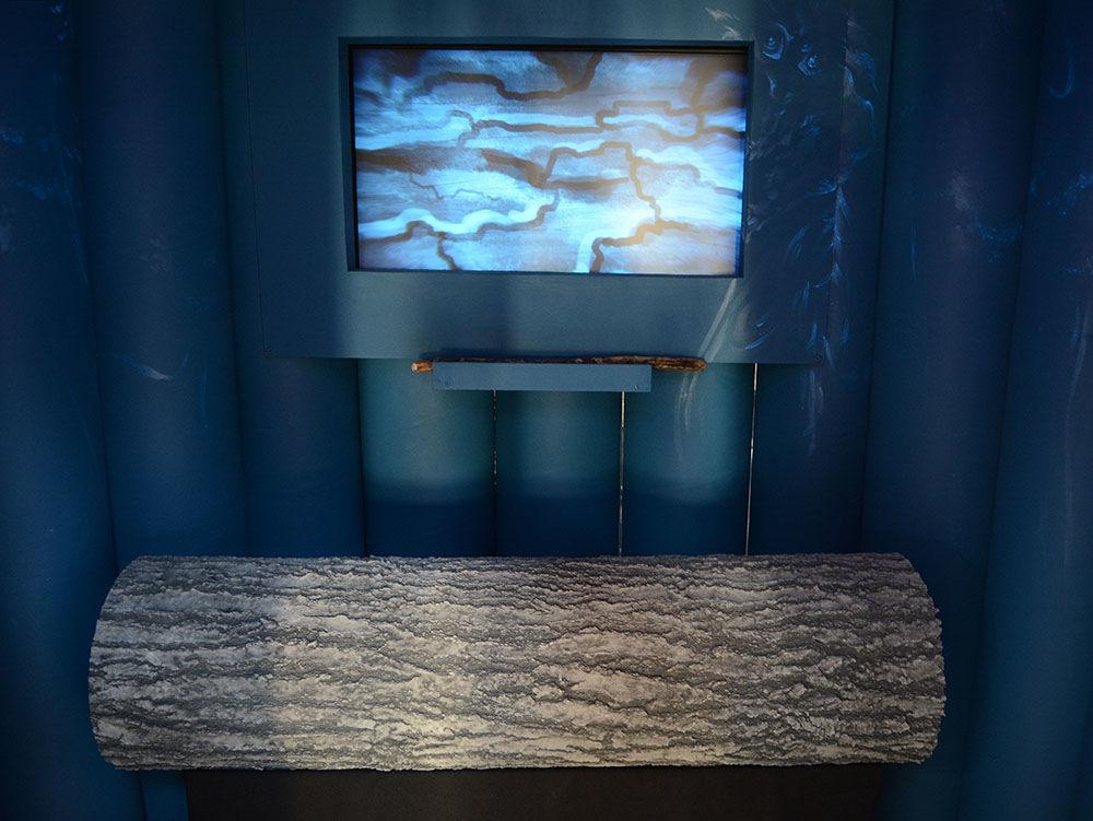 The inside of "Aye-aye Behavior and Vocalizations" features a log, a stick and a screen. Users are told to beat on the log to "find grubs for baby aye-aye to eat". This piece is a part of the "Invisible Worlds" exhibit on display in downtown Raleigh at Transfer Co. Food Hall during the month of June.