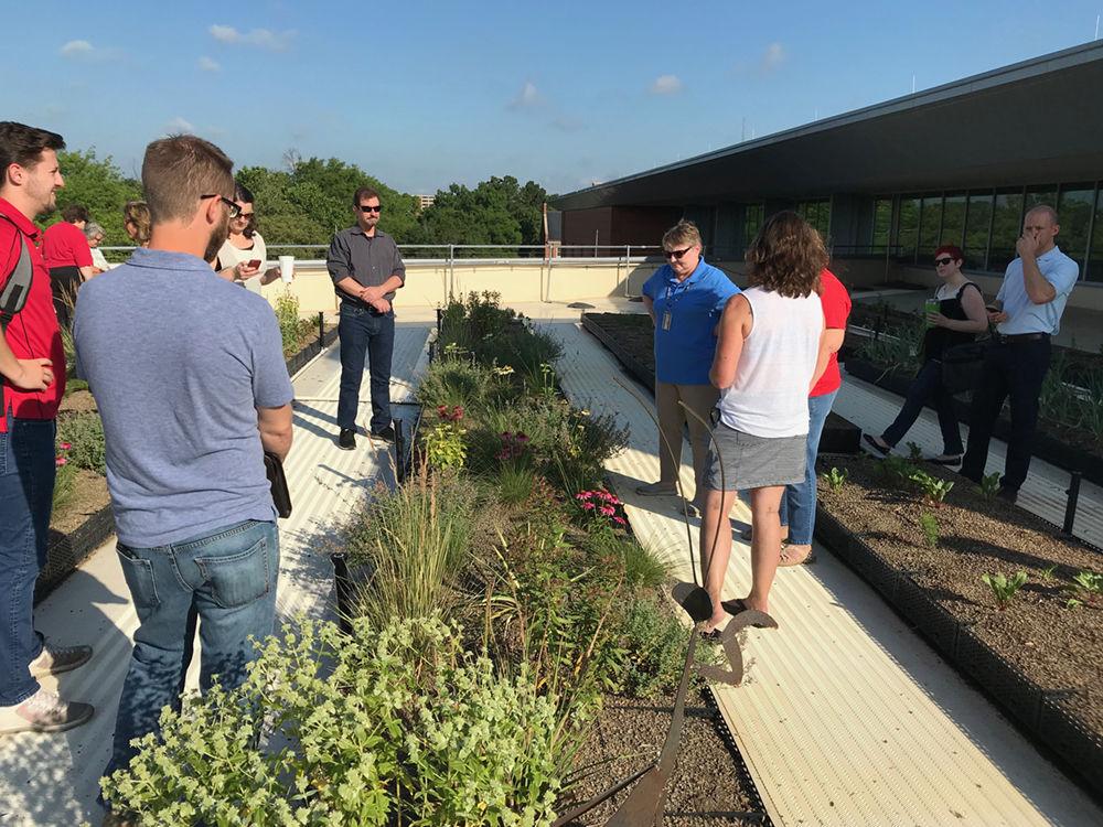 Dr. Anne Spafford, an Associate Teaching Professor in the Department of Horticulture Science, explains to tour attendees the importance of pollinator plants on Talley&#8217;s rooftop garden. Dr. Spafford and her students planted the garden in October and April. The tour of the rooftop garden is the first of many facilitated by Sustainability Partners, a new program started by the University Sustainability Office and Staff Senate.