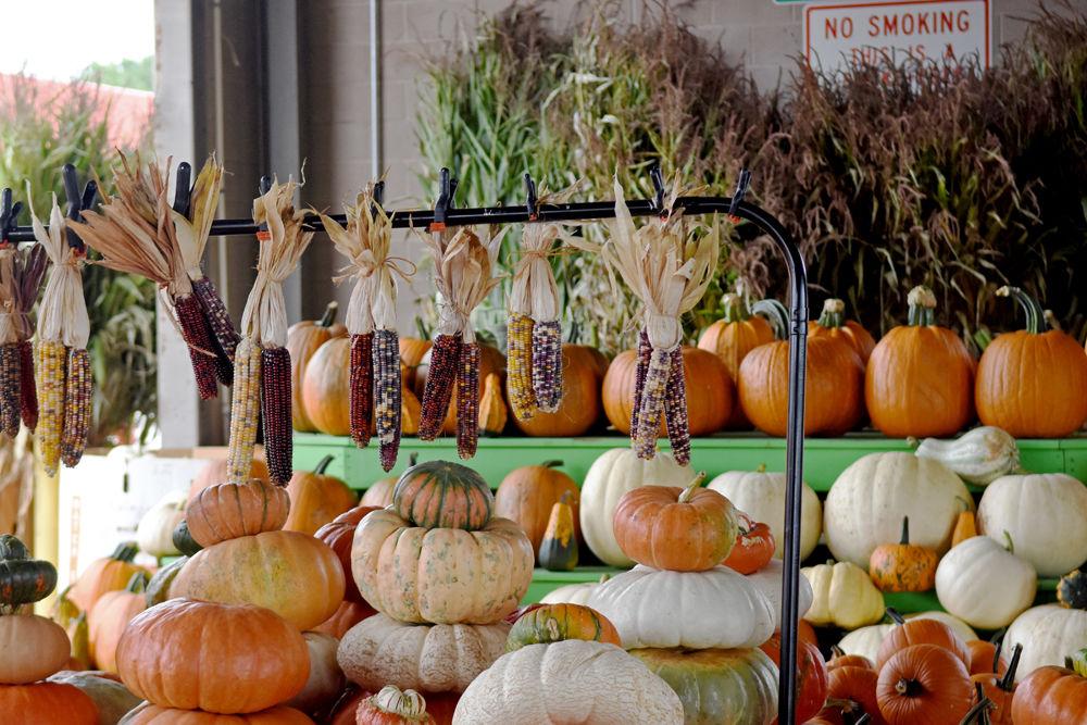 Rows of multicolored corn and pumpkins are displayed at the Raleigh Farmers Market on Sept. 18, 2017. The Farmers Building provides 30,000 square feet for North Carolina farmers to sell fresh produce and plants.