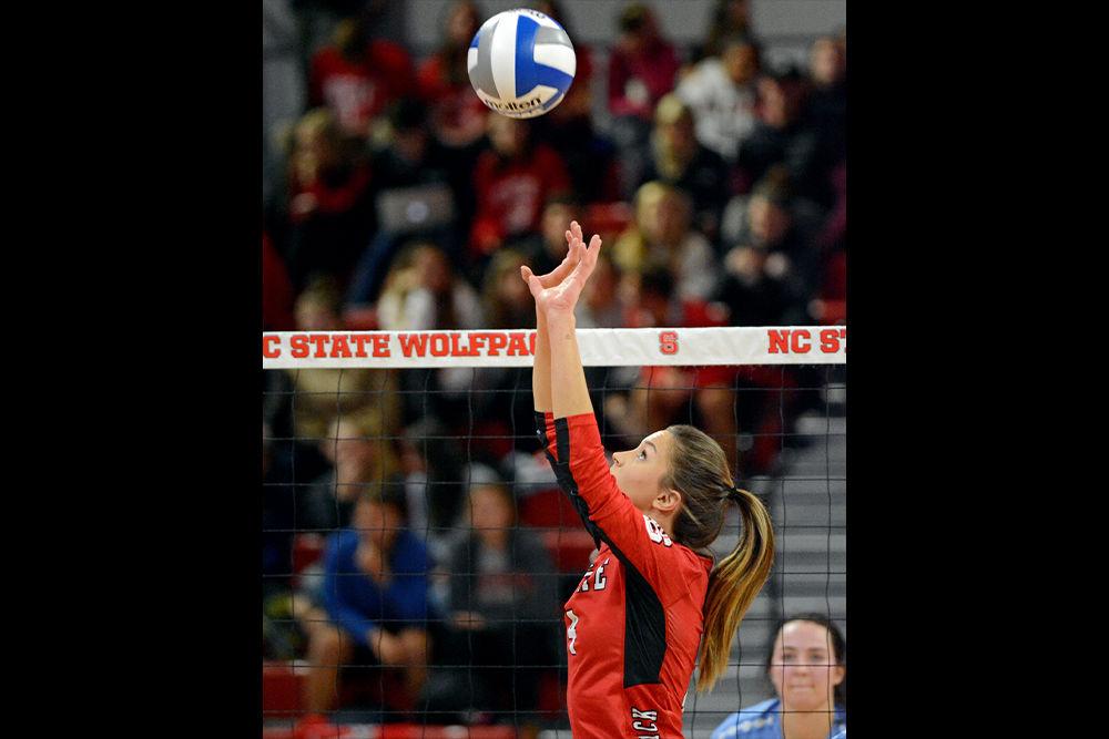 *Editor's note: the original photo has been replaced.
Senior setter Kylie Pickrell sets the ball against UNC-Chapel Hill in Reynolds Coliseum on Wednesday, Nov. 14. The Wolfpack won its match 3-0, marking the first time the women's volleyball team swept UNC since 1991.