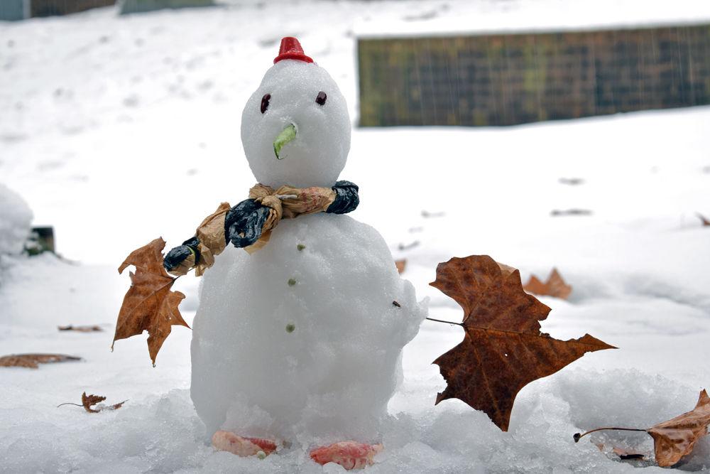 A snowman built with waste plastic sheets, maple leaves and few vegetables stands at Kings Court near Gorman Street&#160;on Sunday, Dec. 9.&#160; The snowman was built by Yogya Sree Alapati, a first-year graduate student studying computer engineering.
