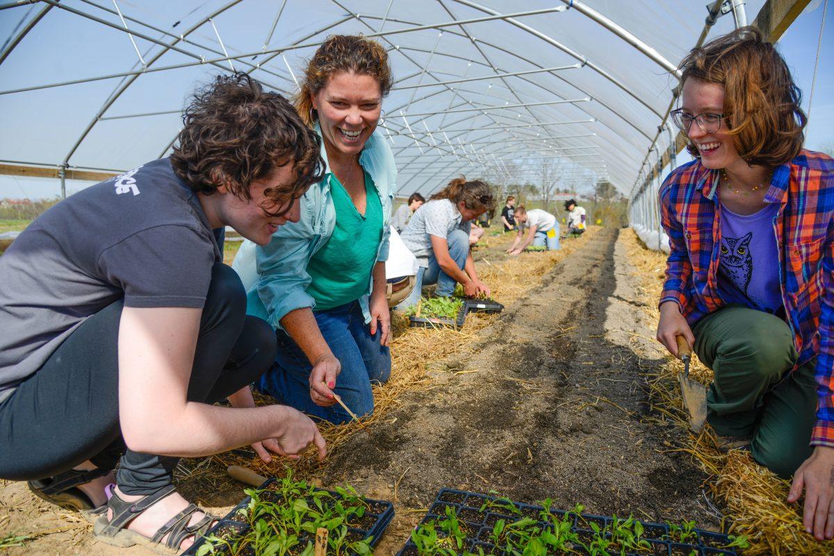 Working at the Agroecology education farm off Lake Wheeler Road with an ag class from Dr. Michelle Schroeder-Moreno. Photo by Marc Hall