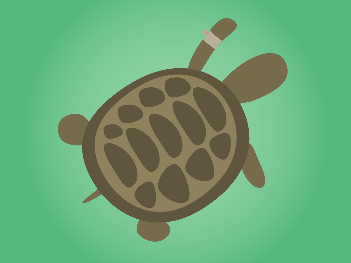 Turtle