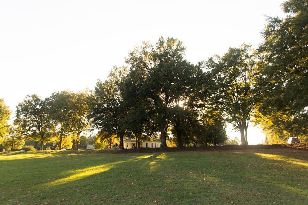 A variety of events and activities are hosted at Dorothea Dix Park, which is also available for public use from dawn to dusk.