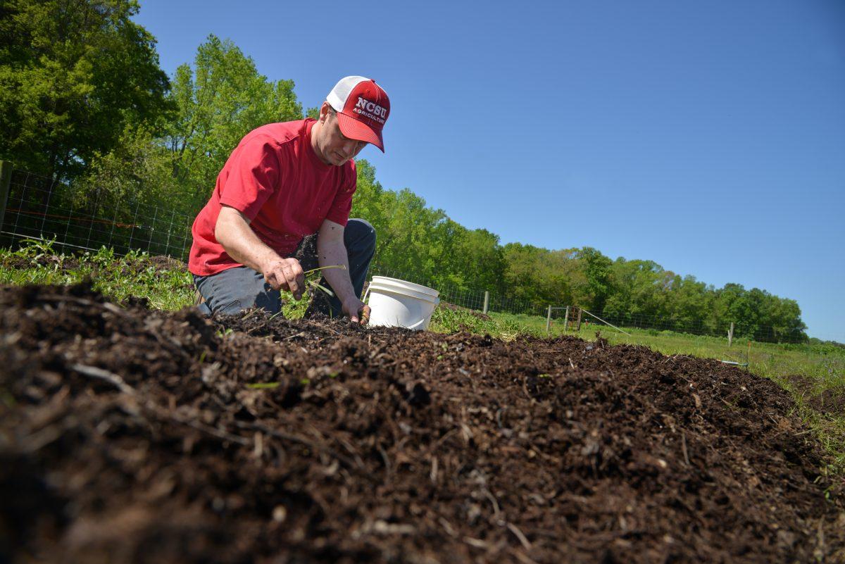 Soil sciences student weeds his section of garden at the Agroecology Farm.